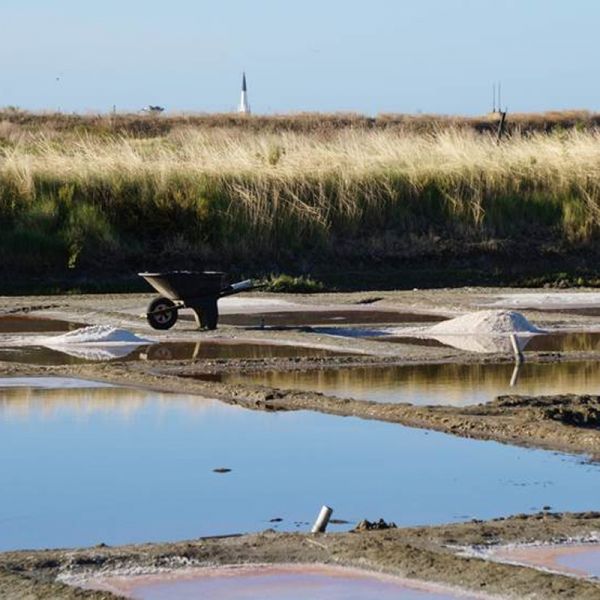 Gros sel de l'Île de Ré