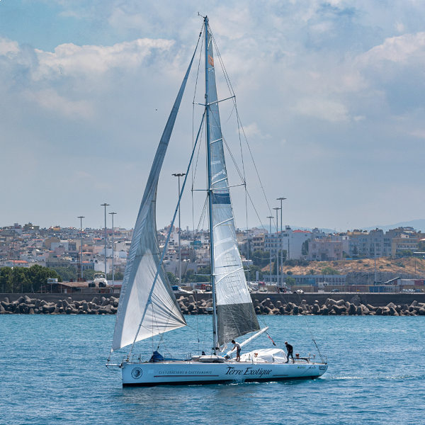 Thym de Crète, transporté à la voile, 35 g